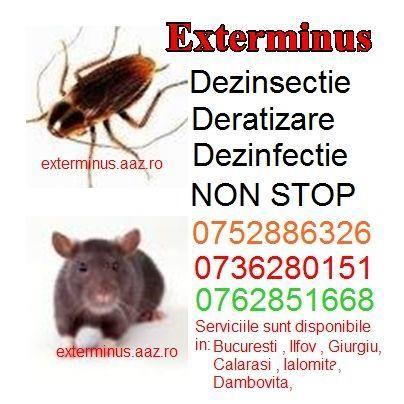 deratizare