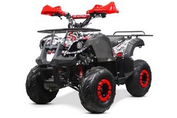 Atv 125Cc Toronto Graffity Deluxe