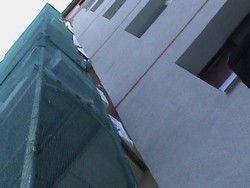 Pavaje placari piatra tulcea