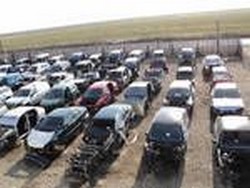 CUTII DE VITEZE PT TOATA GAMA RENAULT