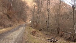 vand teren impadurit pentru cabana