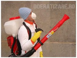 Servicii dezinsectie deratizare dezinfectie