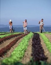 Agricultura in germania-1200 euro