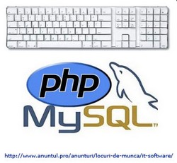 Angajam programator/ programatori PHP MySQL in Sibiu