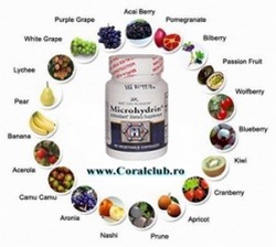 Antioxidant puternic
