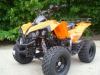 Atv nou ReneGade 8