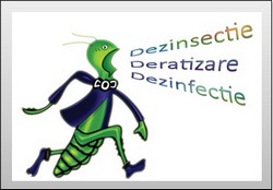 Dezinsectie Deratizare Bucuresti