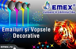 Emailurile profesionale, un plus de protectie