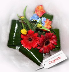 FLORARIE ONLINE FLORARIE ONLINE
