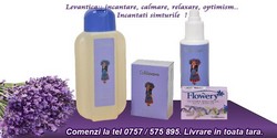 Gel de dus si sampon natural din lavanda pura