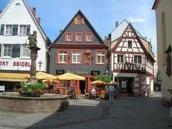 Hotelier plecari urgente germania