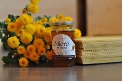 Miere de mana si tei