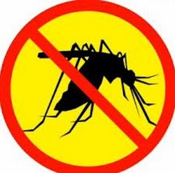 Plase Insecte cel mai mic pret - 0726151785