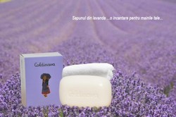 SAPUN NATURAL DIN LAVANDA COLDINAVA!