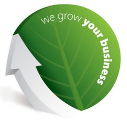 Servicii SEO, Promovare Site Ieftina