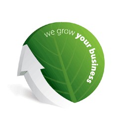 Servicii SEO Profesionale si Promovare site