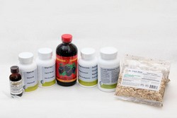 Tratament detoxifiere Rinichi Hulda Clark