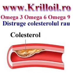 Trigliceride si colesterol mic
