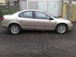 Vand Dodge neon