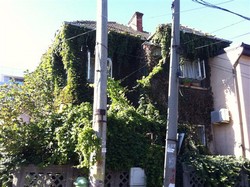 Vand apartament in vila