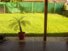 Vand casa in zona Dambu Pietros