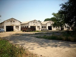 Vand teren + ferma Loc Varias (35km Timisoara, 40km Arad, 30 Sanicolau Mare)
