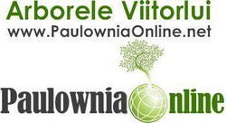 Vanzare online Paulownia tomentosa si elongata