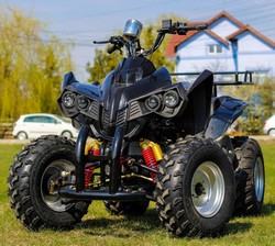 ! OFERTE SPECIALE DE VARA ! Atv Nitro Motors Akp Warrior