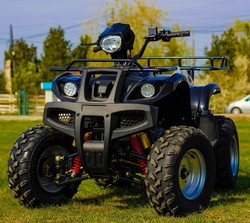 ! OFERTE SPECIALE DE PASTE ! ATV AKP GRIZZLY M10