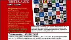 Efectuez diagnoza auto Bucuresti orice marca - 40 lei - 0728.221.294