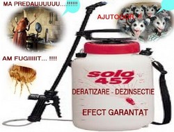 Curatenie scari de bloc, dezinsectie, bucuresti