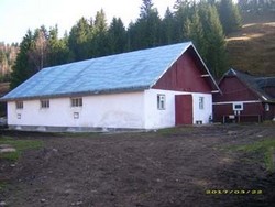 Vand ferma de animale Panaci, jud. Suceava