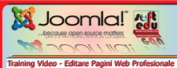 Curs Web Design
