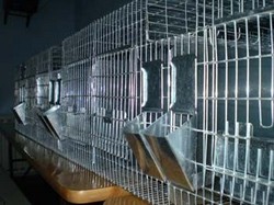 Producatori de plasa sudata confectionam toate tipurile de custi