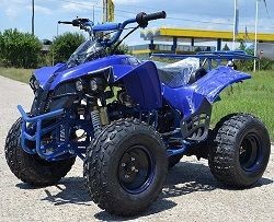ATV 125cc NITRO Warrior Semiautomatik, Import Germania