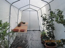 Solarii Haygrove pentru agricultura